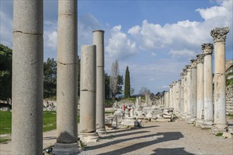 Ruins of Ephesus, ancient archaeological site, Izmir province, Turkey, Asia