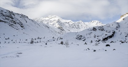 Snow-covered mountain landscape, mountain peak Monte Cevedale, Hinteres Martelltal, Ortler Alps,