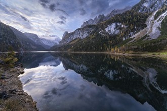 The Vordere Gosausee lake in the morning in autumn with a view of the Dachstein mountain range. The