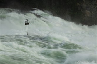 Rapids with an extreme amount of water in the Rhine Falls, Schaffhausen