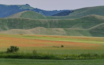 Mountain landscape on the edge of the Pian Grande di Castelluccio di Norcia plateau in the Monti