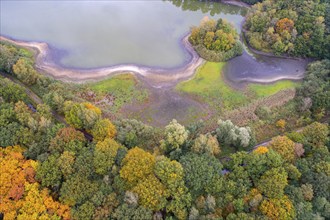 Mixed forest in autumn, colouring, aerial view, forest, autumnal, Ahlhroner Fischteiche,