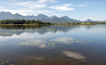 Hopfensee, Hopfen am See, near Füssen, Allgäu Alps, East Allgäu, Allgäu, Bavaria, Germany, Europe