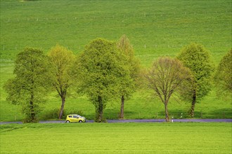 Car on a country road, green fields, meadows, trees line the 2-lane road, spring, near Schwelm,