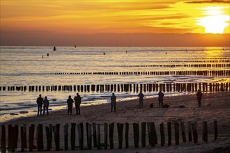 Sunset on the beach of Zoutelande, beach with wooden pile breakwaters, Zeeland, Netherlands