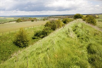 Ditch and embankment of the Wansdyke a Saxon defensive structure on All Cannings chalk downs near