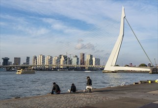 The skyline of Rotterdam, on the Nieuwe Maas, river, Erasmus Bridge, quay wall at the Kop van Zuid