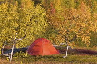 Camping in the Sinnitjohkka and Duolbagorni mountains, Kebnekaise massif, Lapland, Sweden, Sweden,