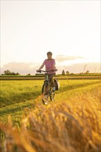 A cyclist in a wide wheat field during a golden sunset, Gechingen, Black Forest, Germany, Europe