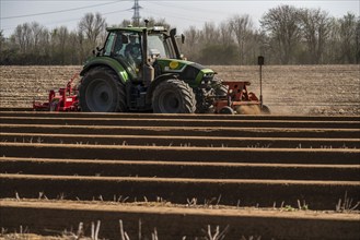 A farmer builds asparagus ridges on a field with the help of an asparagus tiller, in which the