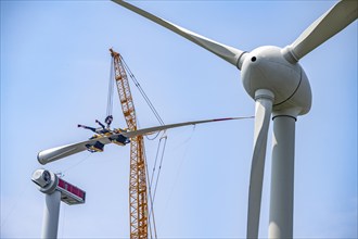 Erection of an Enercon E-160 wind turbine, rear, assembly of the first blade, 4 turbines with a