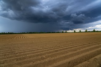 Dark rain clouds, thunderclouds over a potato field, near Grevenbroich, North Rhine-Westphalia,