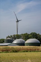 Farm with biogas plant, wind power plant, maize field, near Straelen, Lower Rhine North