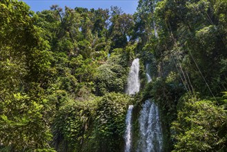 Tiu Kelep waterfall, nature, landscape, flowing, river, fresh, clear, clean, environment,