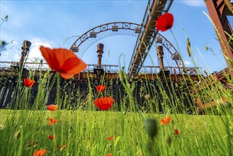 Zollverein Coal Mine Industrial Complex World Heritage Site, Zollverein Coking Plant, colourful