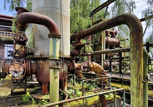 Architectural and industrial monument Hansa coking plant, industrial nature, lost place, Dortmumd,