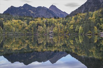 Freibergsee lake in autumn, near Oberstdorf, with the Allgäu Alps behind it, Allgäu, Bavaria,