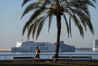 Waterfront promenade, ferries and cruise ship in the bay of Palma de Majorca, Spain, Europe