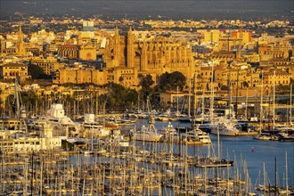 Panorama of Palma de Majorca, Bay of Palma, with the marina and the Cathedral of St Mary, Balearic