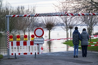 Flood on the Rhine, flooded banks of the Rhine, old ferry landing stage, Rhine meadows, near