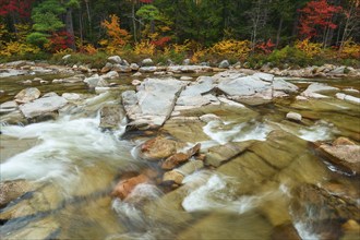 A river flows through a landscape with colourful autumn trees and stones on the banks, the leaves