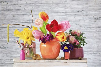 Picturesque still life with flowers, Germany, Europe