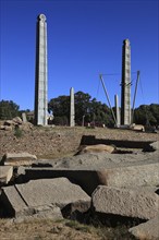 Tigray region, in the stele park of Axum, Aksum, ancient cemetery of the Axumite kings, Ethiopia,