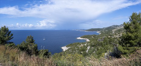 Catamaran sailing along the coast, island of Hvar, Dalmatia, Croatia, Europe