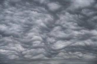 Dramatic cloud formation, format-filling, wavy, extremely structured, closed cloud cover, cloud