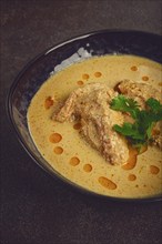 Satsivi, chicken in walnut sauce Baghe, cold dish, Georgian cuisine, homemade, no people