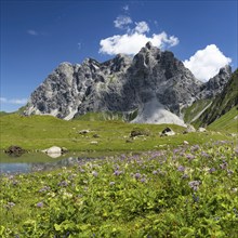 Eissee, Oytal, behind it Großer Wilder, 2379m, Hochvogel- and Rosszahngruppe, Allgäu Alps, Allgäu,