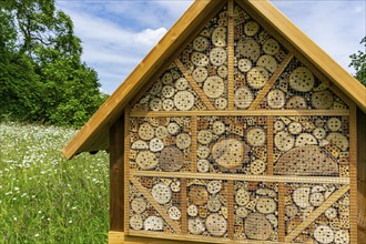 Insect hotel, wildflower meadow at the park cemetery in Essen, the city's largest cemetery, North