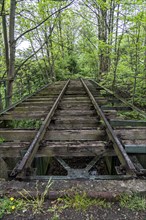 Old railway tracks, track, overgrown, disused line, Herne, North Rhine-Westphalia, Germany, Europe