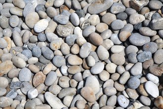 Close up rounded pebbles on shingle beach, Chesil Beach, Chiswell, Isle of Portland, Dorset,