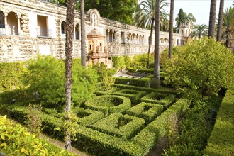 Gardens of the Alcazar palaces, Seville, Spain, Europe