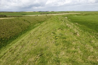 Defensive ramparts and ditch Yarnbury Castle, Iron Age hill fort, Wiltshire, England, UK