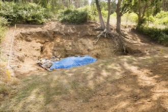 Site of geological excavation, Sutton Knoll SSSI, Rockhall Wood Pit, Sutton, Suffolk, England, UK