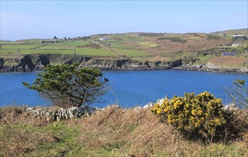 South Harbour bay, Cape Clear Island, County Cork, Ireland, Irish Republic, Europe