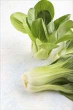 Fresh green bok choy or pac choi chinese cabbage on a white concrete background. Side view, close