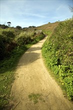 Footpath leading uphill into the centre, Island of Herm, Channel Islands, Great Britain