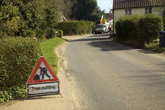 Tree cutting red triangular road sign in village street, Shottisham, Suffolk, England, United