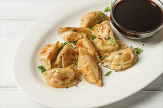 Japanese fried gyoza dumplings, with pork, sesame seeds, green onions