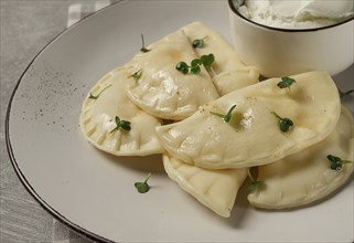 Pierogi, a traditional dish of Polish cuisine, dumplings, top view, close-up, no people