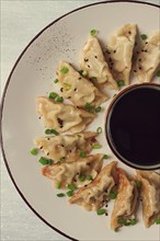 Japanese Gyoza dumplings, fried, with sauce, top view, without people, tinted, selective focus