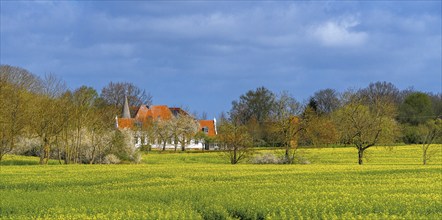 Landscape on Rügen, Mecklenburg-Western Pomerania, Germany, Europe