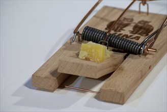 Mousetrap with piece of cheese