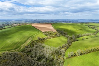 Forest, Farms and Farms over Long Wood and River Dart from a drone, Dartmouth, Kingswear, Devon,