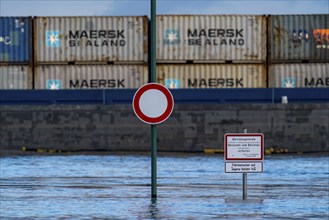 Flood on the Rhine, Flooded banks of the Rhine, Rhine meadows near the village of Grieht, Kalkar,