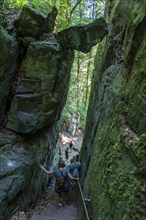 The Devil's Gorge, narrow, accessible gorge of sandstone rocks, with steep rocky gorges, near