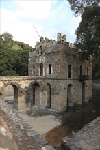 Amhara region, near Gondar, Gonder, small moated castle, the Bath of Fasilde, Fasil Ghebbi palace